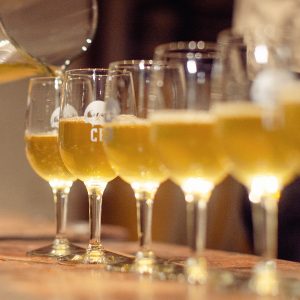 https://casabruja.com/wp-content/uploads/2024/07/BarrelRoom_22-300x300.jpg